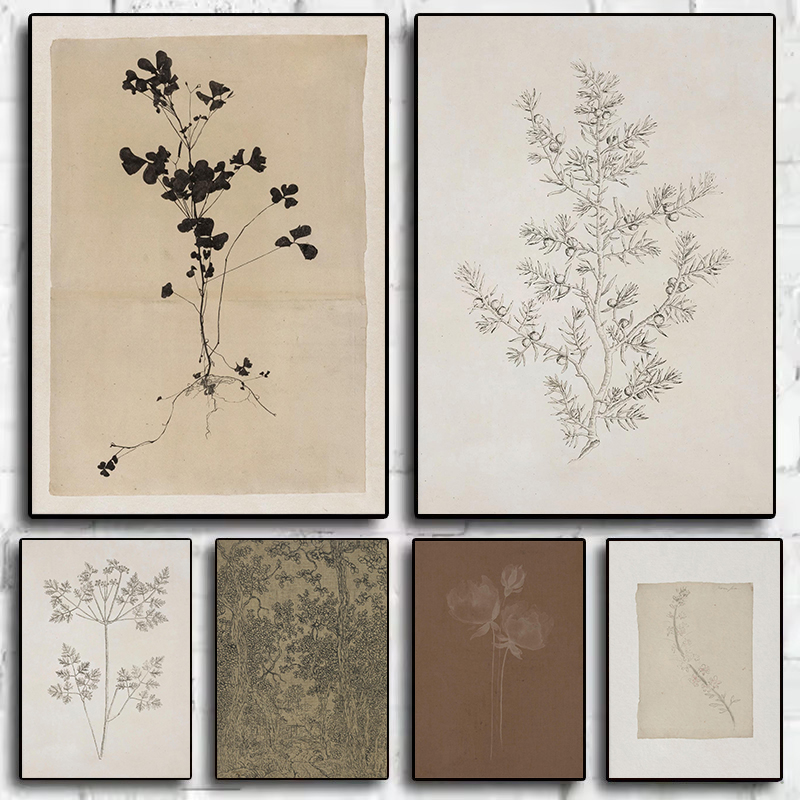 Vintage Minimalist Olive Branc - Interior Design Poster review and price